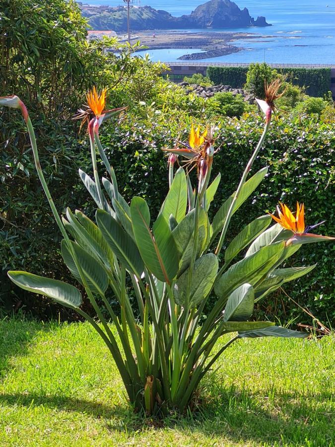 Casa Da Ribeira Bed & Breakfast Lajes do Pico Exterior photo